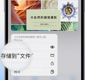 华龙apple维修中心分享iPhone文件应用中存储和找到下载文件