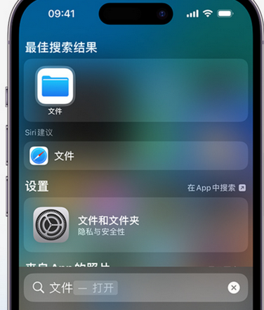 华龙apple维修中心分享iPhone文件应用中存储和找到下载文件 