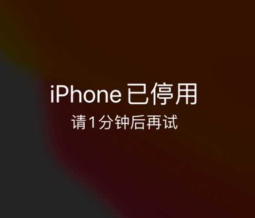 华龙苹果手机维修分享:iPhone 显示“不可用”或“已停用”怎么办？还能保留数据吗？ 