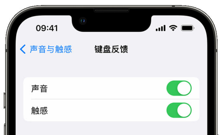 华龙苹果手机维修分享iPhone 14触感键盘使用方法 