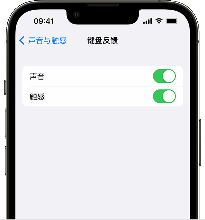 华龙苹果14维修店分享如何在 iPhone 14 机型中使用触感键盘 