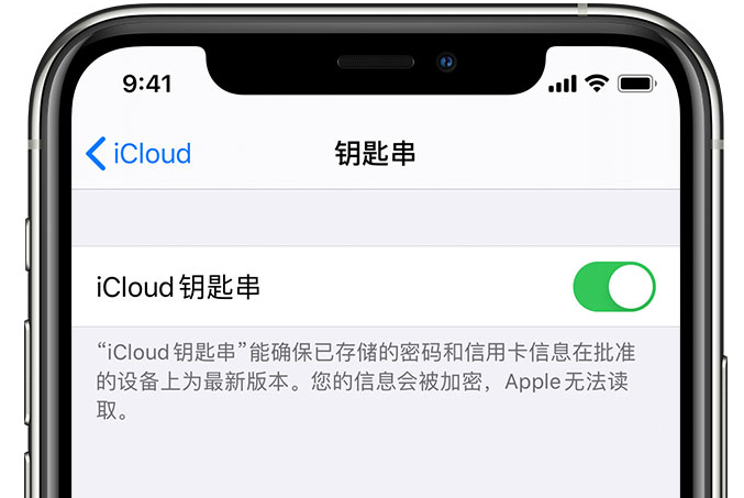 华龙苹果手机维修分享在 iPhone 上开启 iCloud 钥匙串之后会储存哪些信息 