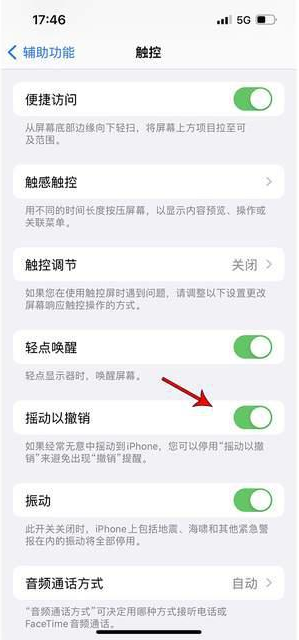 华龙苹果手机维修分享iPhone手机如何设置摇一摇删除文字 